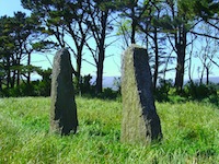 The Dunbeacon Stones
